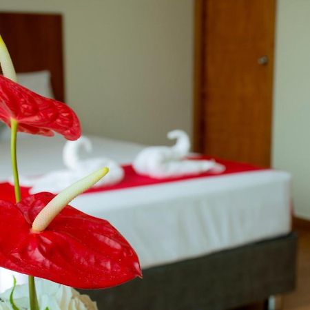 Hotel La Palmera De Oro ตาราโปโต ภายนอก รูปภาพ