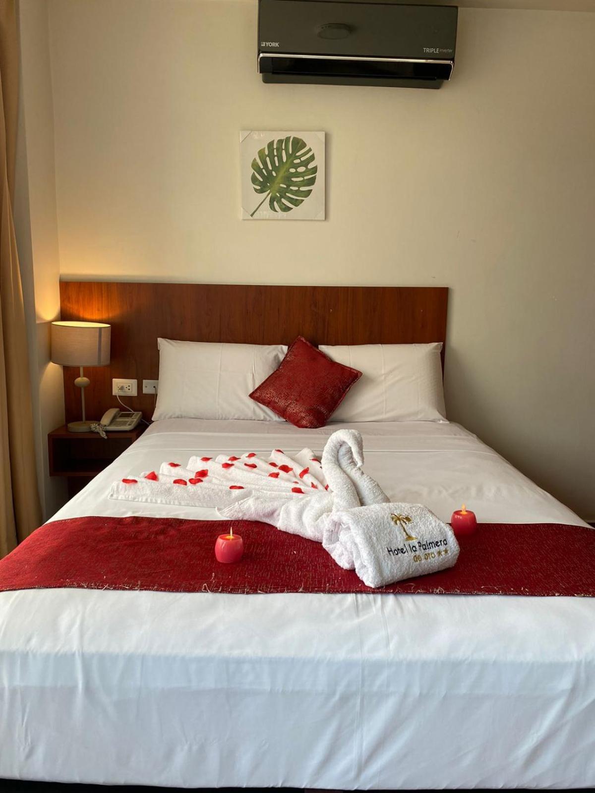 Hotel La Palmera De Oro ตาราโปโต ภายนอก รูปภาพ